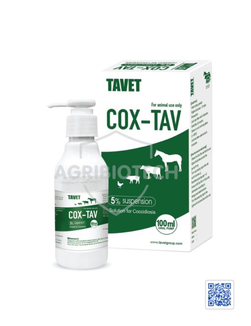 COX-TAV 5% 100ML - Thuốc thú y đặc trị tiêu chảy cho heo