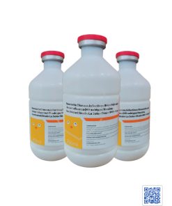 Vắc xin phòng 3 bệnh ND-IB-H9N2 hiệu quả cho gia cầm